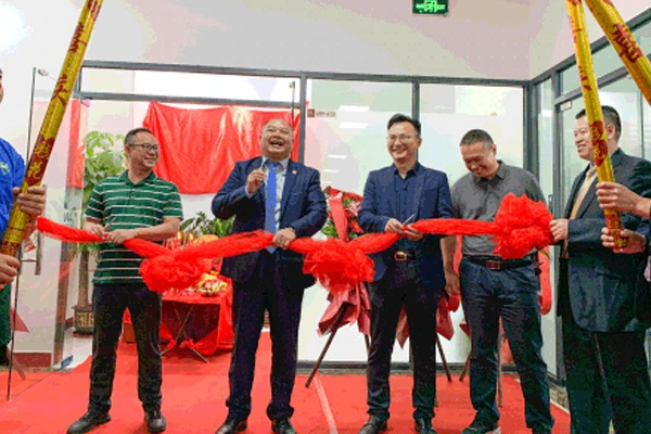 ANKE history nel 2020