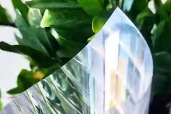 Pellicola di vetro rigenerata/pellicola decorativa per vetri/adesivo in vetro/adesivo per finestre/pellicola per vetri Privacy tinta autoadesiva per finestre