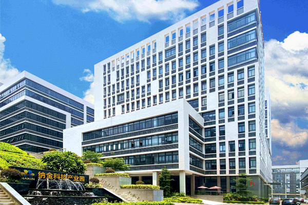 ANKE history nel 2024