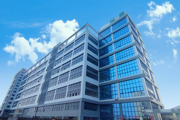 ANKE history nel 2024